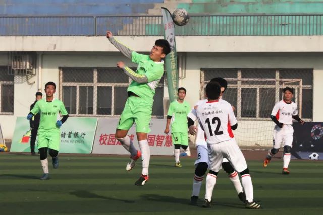 武术套路世界杯落户海南 五大洲110余名顶尖选手参赛